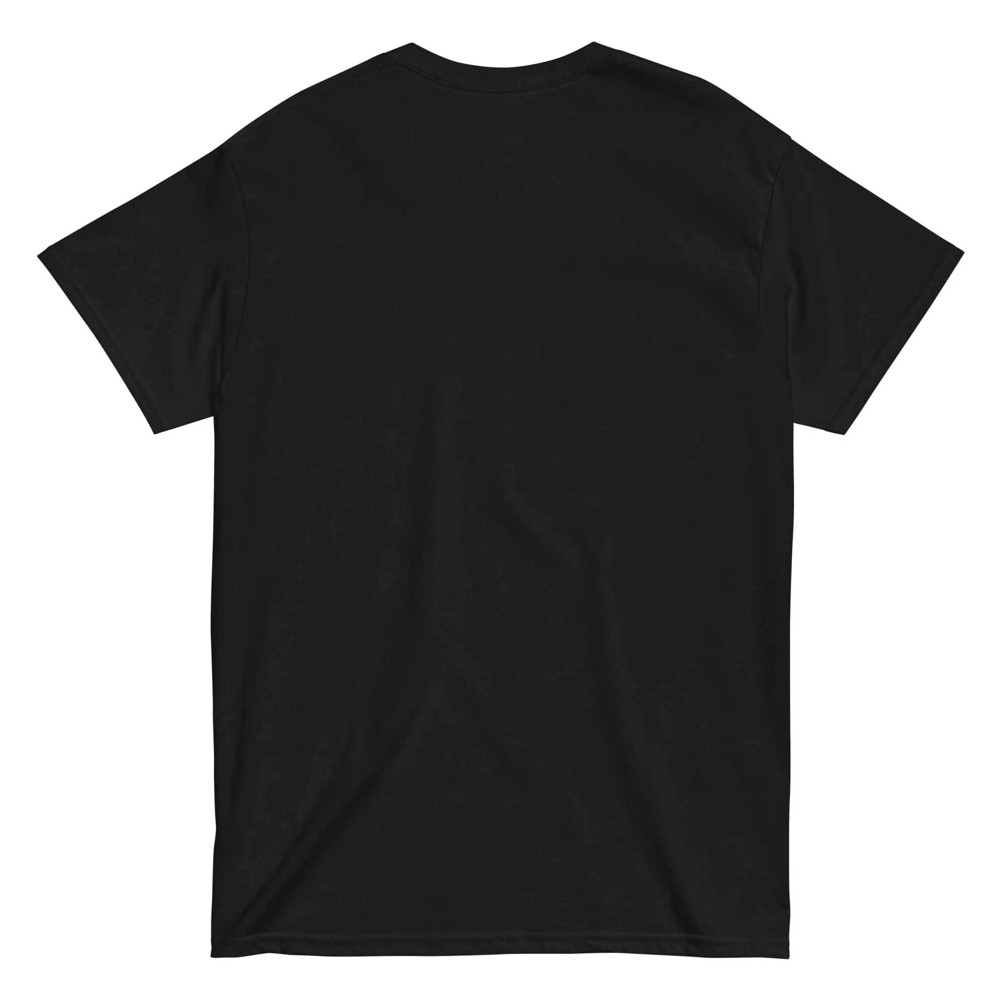 CCSU Lady Hooligans Classic T-Shirt