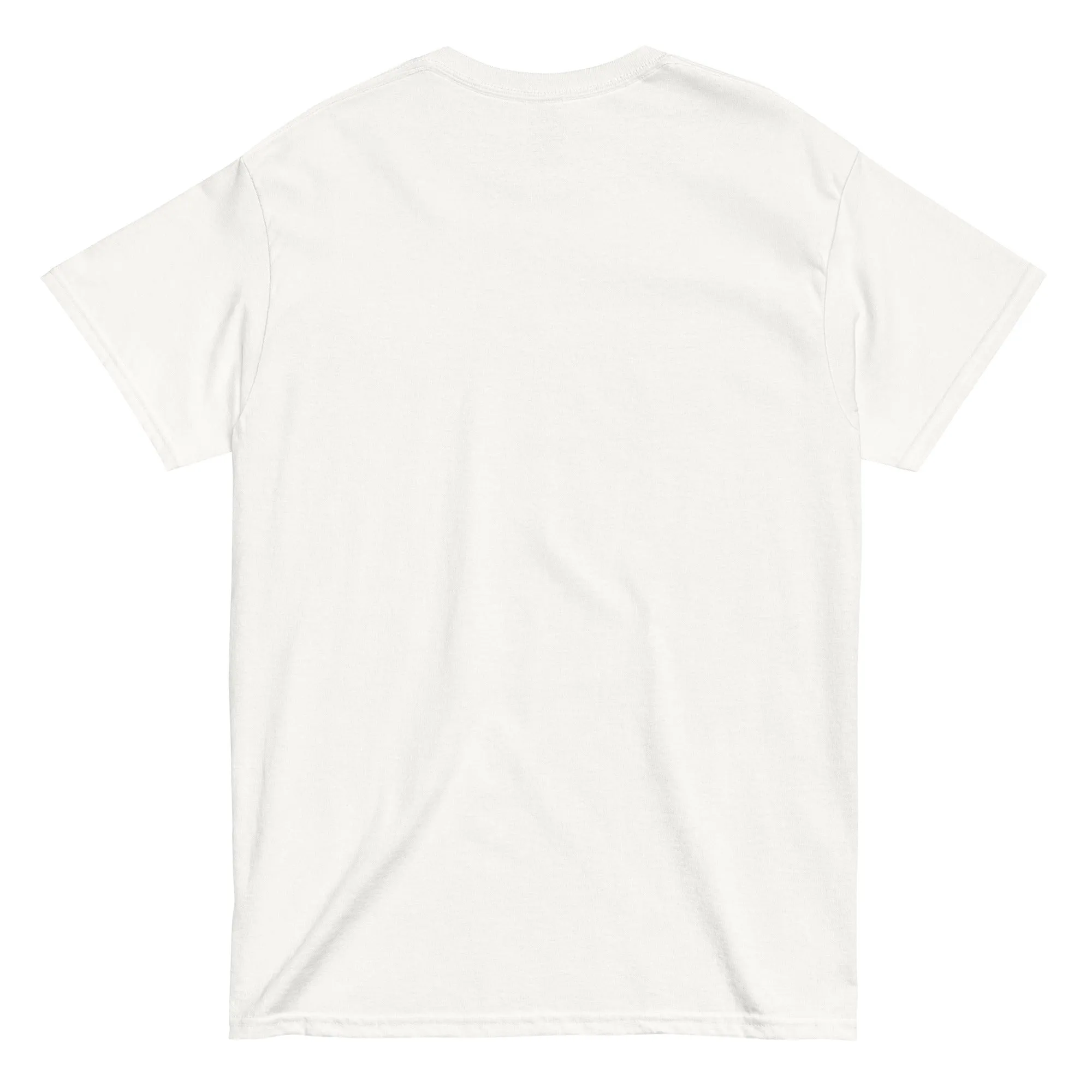 CCSU Lady Hooligans Classic T-Shirt