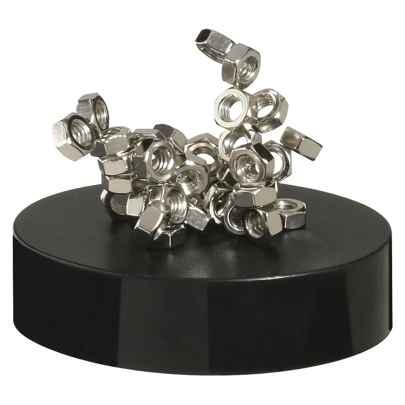 MAGNETIC SCULPTURE ASSORTED STYLES