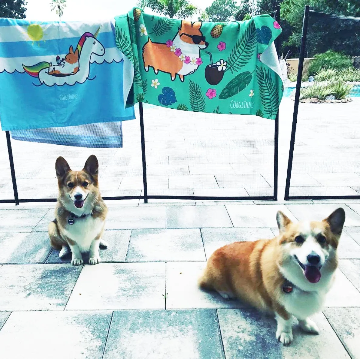 Tropical Corgi Beach Towel